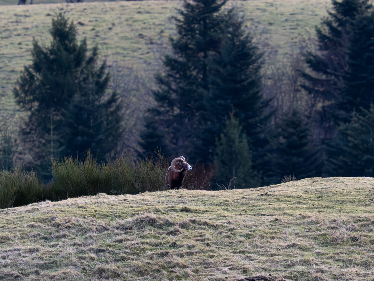 09122025-09 12 2025 (8).jpg